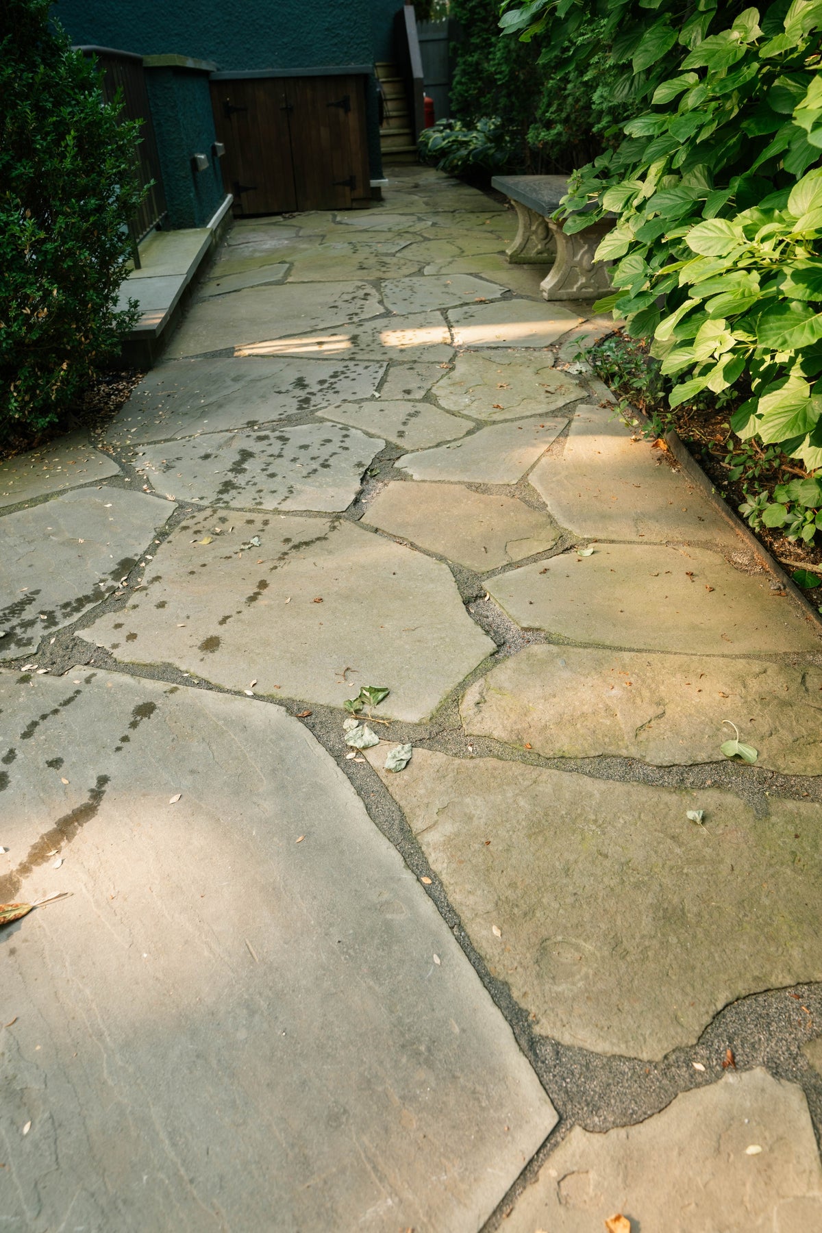 Flagstone garden path bordered by planting beds